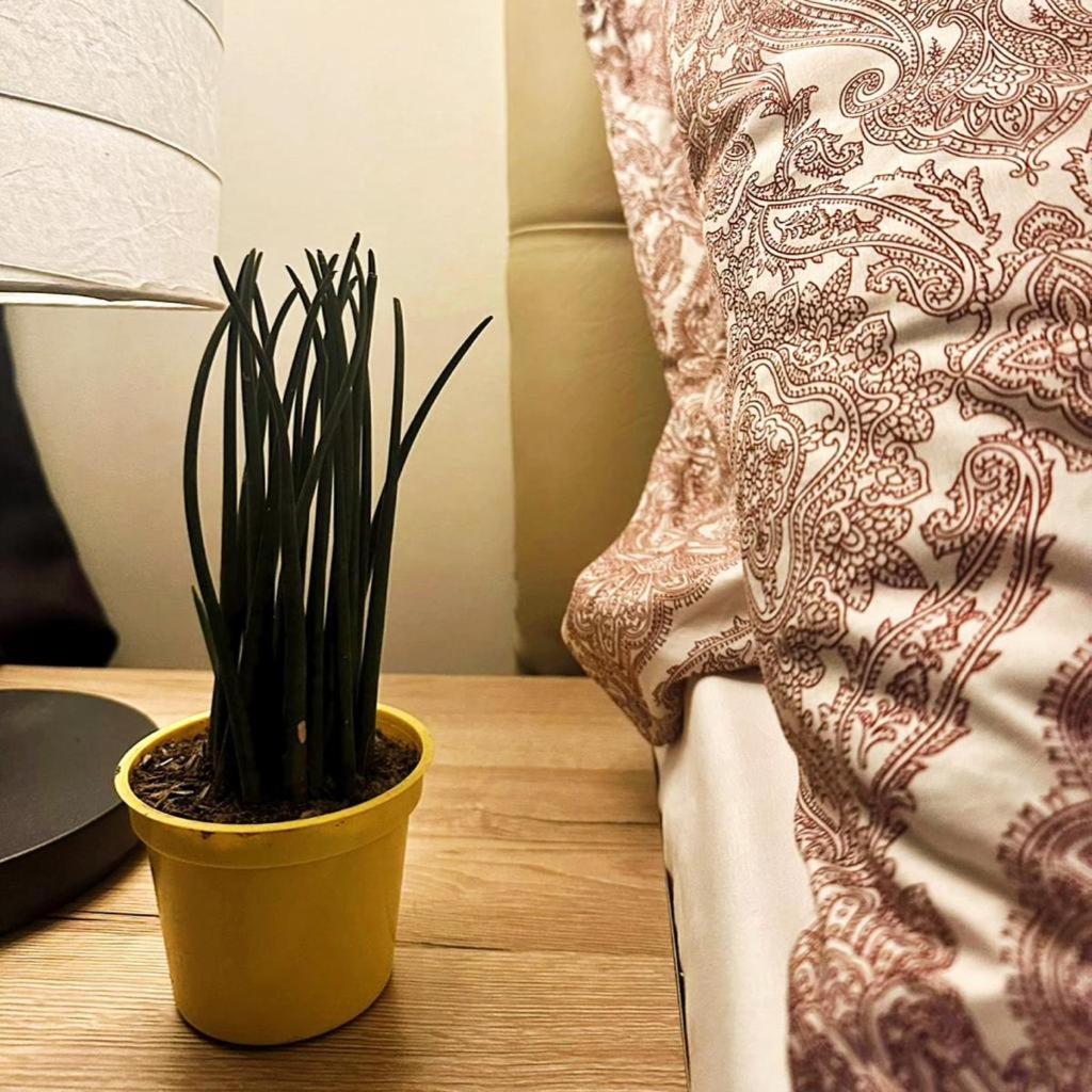 Acqua Private Residence Livingstone Tower Condo Unit With Free Wifi Μανίλα Εξωτερικό φωτογραφία